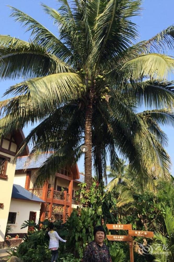 Hainan Bulongsai Resort Hotel Baoting Екстер'єр фото